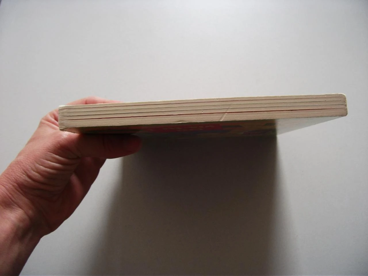 Livro encadernado Onde você mora? – photo 10